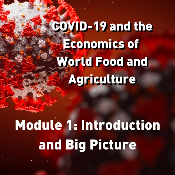 COVID-19 and the Economics of World Food and Agriculture - Module 1: Introduction and Big Picture