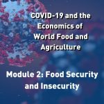 COVID-19 and the Economics of World Food and Agriculture - Module 2: Food Security and Insecurity