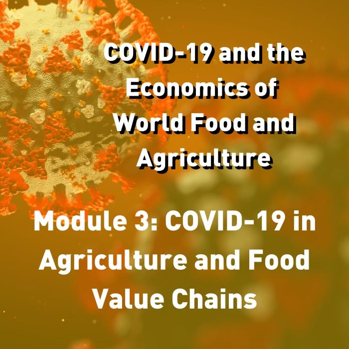 COVID-19 and the Economics of World Food and Agriculture - Module 3: COVID-19 in Agriculture and Food Value Chains