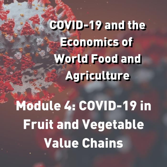 COVID-19 and the Economics of World Food and Agriculture - Module 4: COVID-19 in Fruit and Vegetable Value Chains